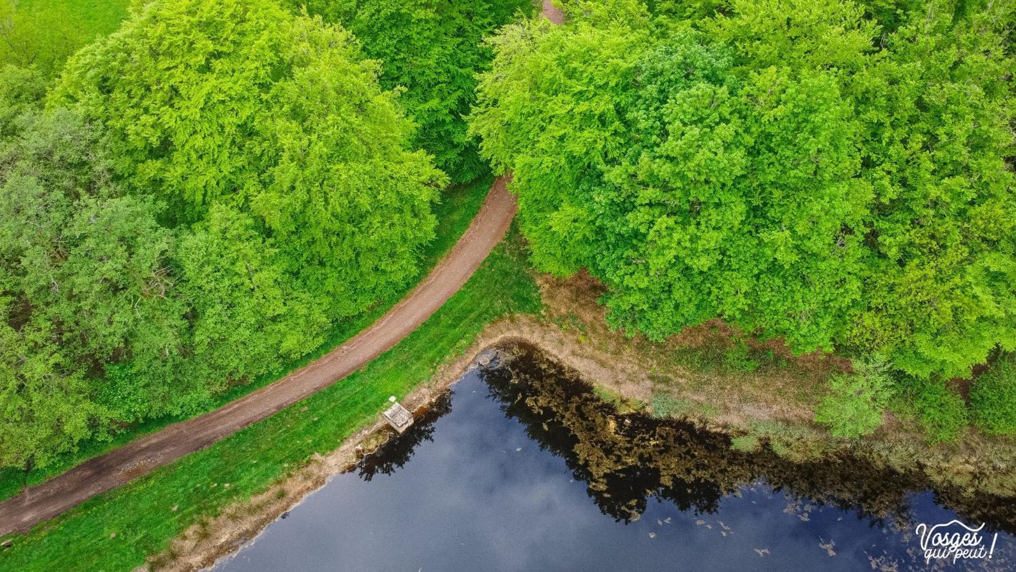 Villa Des Capucins ليوكسيل لو بينز المظهر الخارجي الصورة